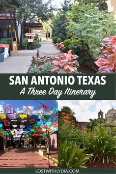 the san antonio texas a three day itinerary with pictures of flowers and trees