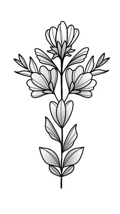 Ornamental Leaf Tattoo, Ornamental Botanical Tattoo, Neotraditional Flower Tattoo Designs, Small Neotraditional Tattoo, Flower Ornamental Tattoo, Ornamental Flower Tattoo, Traditional Tattoo Outline, New Tattoo Styles, Illustrative Tattoos