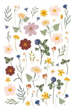 an assortment of flowers and leaves on a white background with the words,'wildflowers '