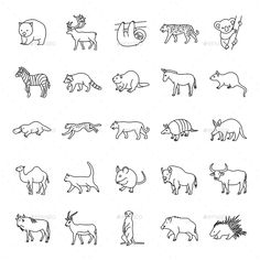 an animal line drawing set - animals characters