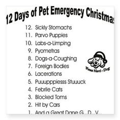 the 12 days of pet emergency christmas list is shown in black and white with red lettering