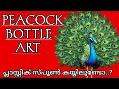 the peacock bottle art is displayed in front of a red background with words that read peacock bottle