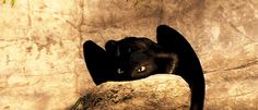 a black cat laying on top of a rock