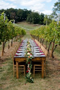 a long table is set up in the middle of an orchard