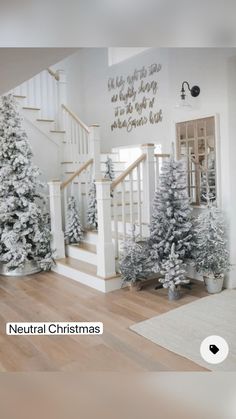 christmas trees are lined up in front of the stairs