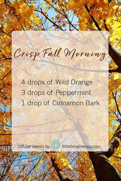 Welcome Autumn with this energizing and uplifting fall diffuser blend. Fall Morning