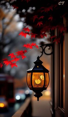 a lamp hanging from the side of a building next to a tree with red leaves