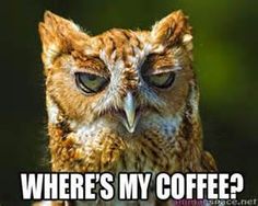 funny owl - Yahoo! Image Search Results Tuesday Humor, Funny Owls, Owl Pictures, Funny Animal Pictures, Bones Funny, Animal Gifs, Funny Animal Videos, Spirit Animal, Owls