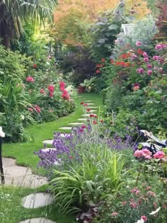 a garden filled with lots of different types of flowers