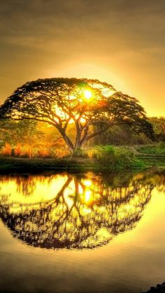 the sun is setting over a lake with trees