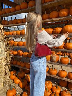 Pumpkin Patch Photoshoot, Pumpkin Patch Pictures, Fall Pics, Fall Mood Board, Fall Mood, Fall Photoshoot, Fall Feels