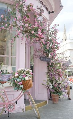 a pink bicycle with flowers in the basket parked outside of a store front window on a sunny day