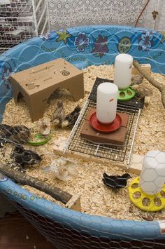 an animal cage with various items in it