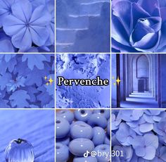 the collage shows blue flowers and other things in different pictures with words describing them