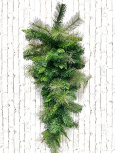 the top view of a pine tree on a white wall with wood planks in the background