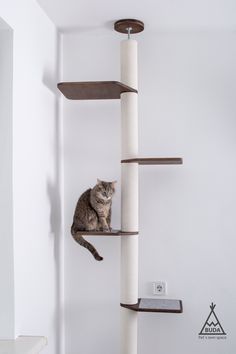 a cat sitting on top of a scratching post in a room with white walls and flooring