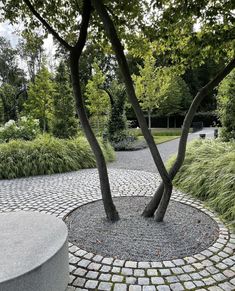 two trees are in the middle of a circular garden area with cobblestone walkways