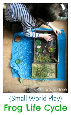 a small child playing with frog life cycle in a play box, on the floor