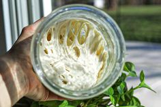 a hand holding a jar filled with white sauce on top of green leaves next to a window