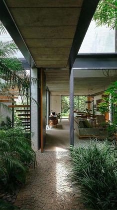 the inside of a house with lots of greenery and plants on either side of it