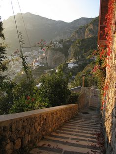 stairs lead up to the top of a hill with flowers growing on it and houses in the background