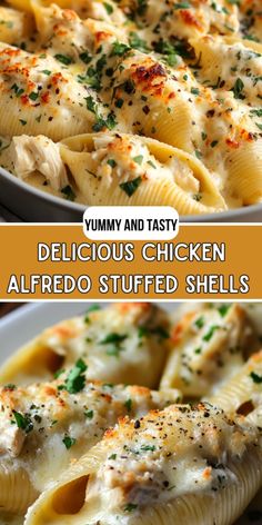 two plates with different types of stuffed shells on them and the words delicious chicken alfredo stuffed shells