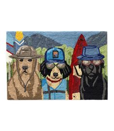 three dogs wearing hats and holding surfboards on a blue rug with mountains in the background