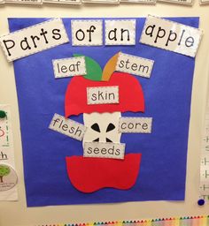 the parts of an apple bulletin board