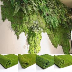 moss growing on the side of a wall next to rolled up towels and vases