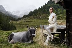 a woman sitting on a bench next to a cow