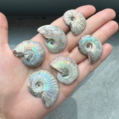 the hand is holding five pieces of silver colored rocks with iridescents on them