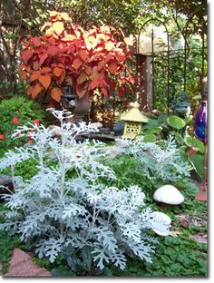 the garden is full of colorful plants and flowers, including an ornamental plant with red leaves