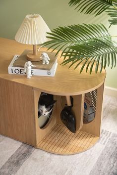 a cat hiding in a wooden shelf under a lamp next to a potted plant