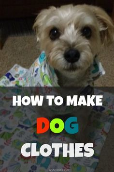 a small dog wearing a shirt with the words how to make dog clothes on it