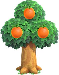 an orange tree with four ripe oranges on it's top and two green leaves