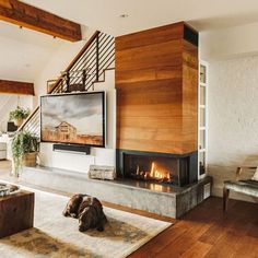 a dog laying on the floor in front of a fireplace with a flat screen tv above it