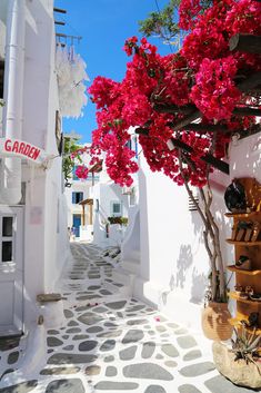 an alley way with white buildings and red flowers