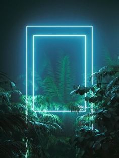 an empty square frame in the middle of plants and trees with neon lights above it