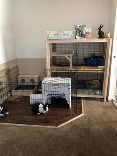 two small dogs are in their cages on the floor