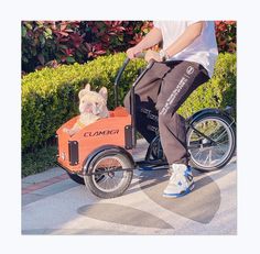 a person riding a bike with a dog in it