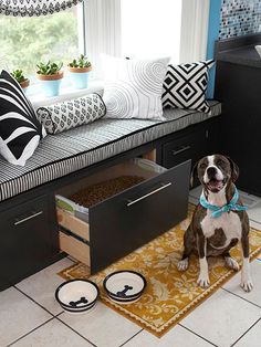 a brown and white dog sitting on top of a kitchen floor next to a sink