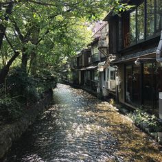 a river running through a lush green forest filled with lots of trees and buildings on both sides