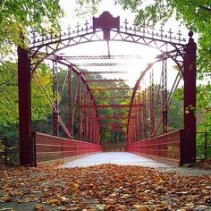 a red bridge surrounded by trees and leaves on the ground in front of it is an iron frame