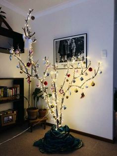 a lighted tree in the corner of a room with pictures on the wall behind it