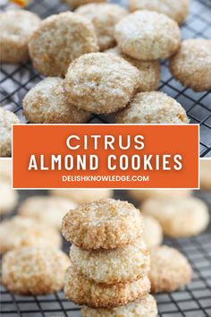 Citrus Almond Cookie Vegan Holiday Recipes, Vegan Holiday, Vegan Holidays, Holiday Recipes, Flour, Almond