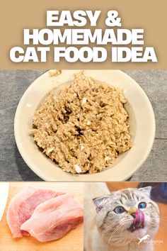 Easy Homemade Cat Food Idea