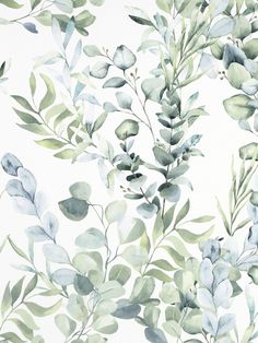 a white and green wallpaper with leaves on it