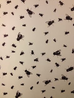 many black bugs are flying in the air