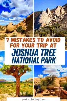 joshua tree national park with text overlaying it