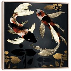 two koi fish swimming in the pond